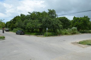 Ciclovia (2)